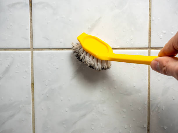 Best Local Mold Removal Service  in Caledonia, WI