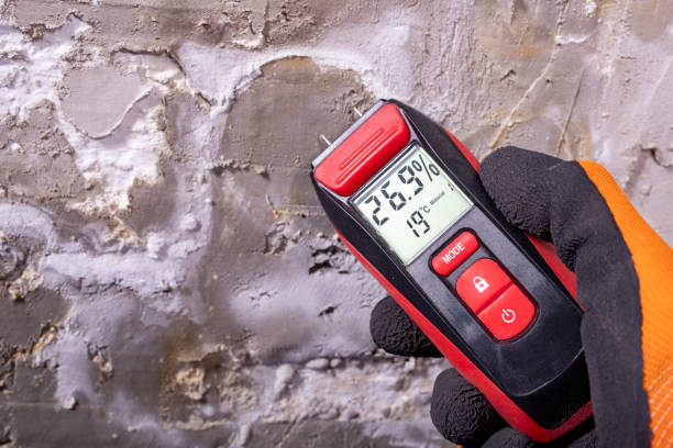 Best Mold Removal Process  in Caledonia, WI