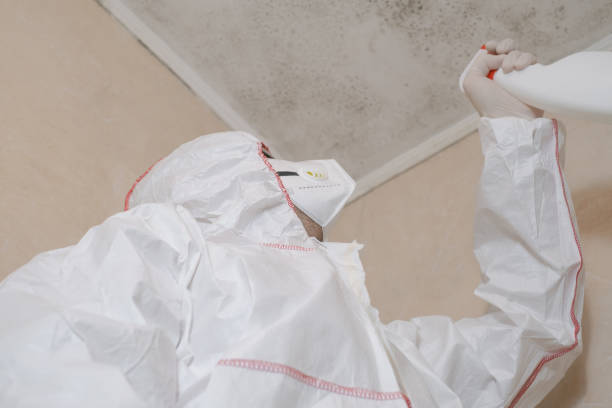 Mold Removal Process in Caledonia, WI